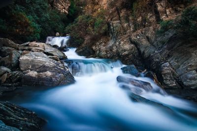 Scenic view of waterfall in forest