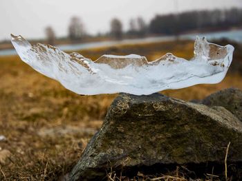 Close-up of wet snow