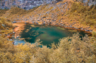 High angle view of lake by trees