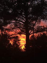 Silhouette trees against sky during sunset