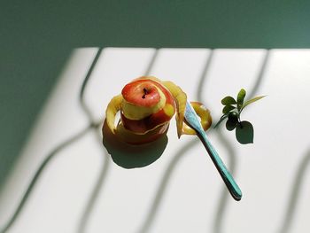 Close-up of food on table