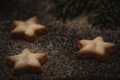 High angle view of cookies on table