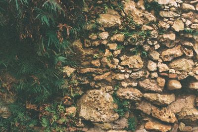 Full frame shot of rock