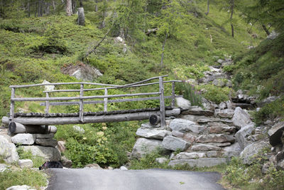 Scenic view of rocks and trees in forest