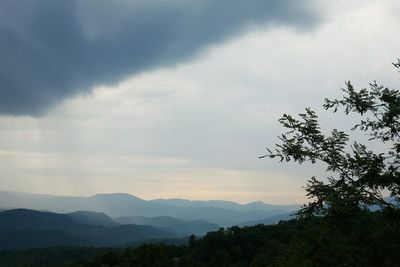 Silhouette tree against sky