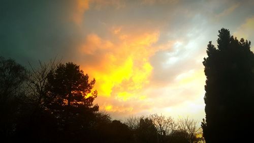 Silhouette of tree against cloudy sky