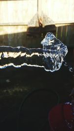 Close-up of plant against blurred background