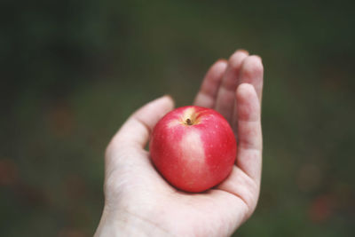 Close-up of cropped hand