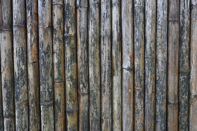 Full frame shot of wooden fence