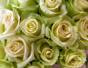 Close-up of rose bouquet