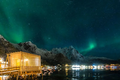 Low angle view of trees against sky at night