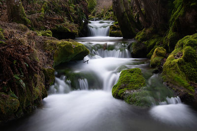 Scenic view of waterfall in forest
