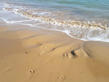 Scenic view of beach