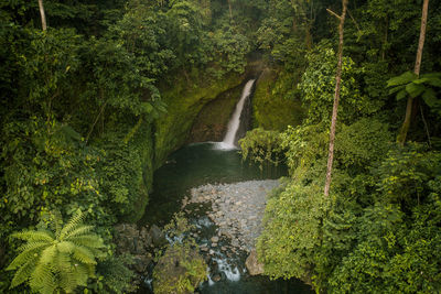 Beautiful waterfall from aerial photo in green forest