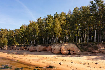 Baltic sea coast with sandy beach and red sandstone cliffs, veczemju cliffs, latvia, aerial view
