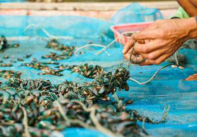 Cropped hand of fisherman holding fishing net