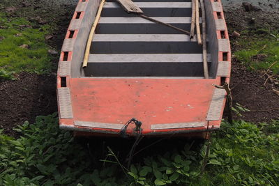 High angle view of plants
