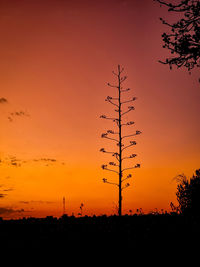 Silhouette trees against sky during sunset