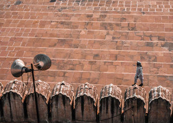 Low angle view of people on wall