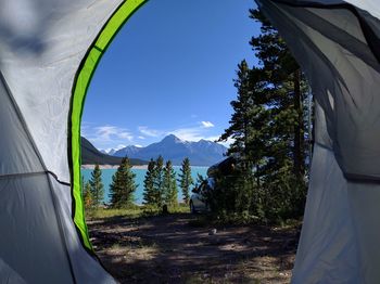 Abraham lake seen from tent