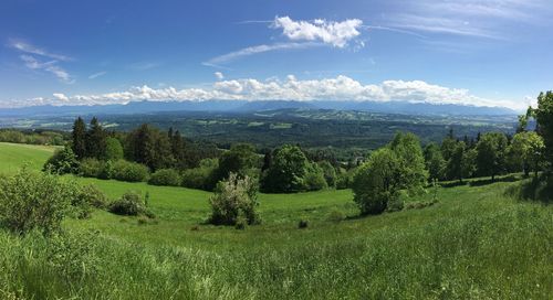 Scenic view of field against sky