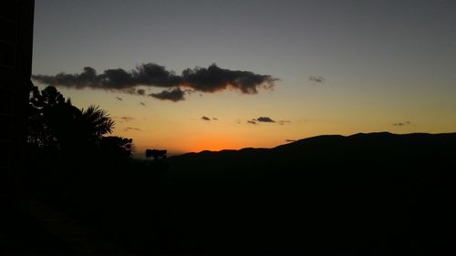 Silhouette of trees at sunset