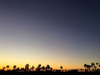 Silhouette trees against clear sky during sunset