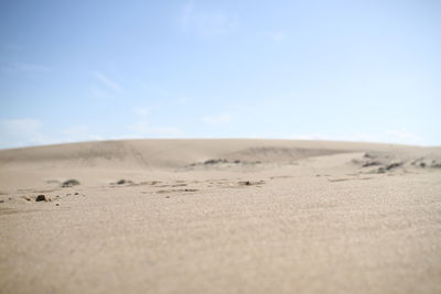 Sand dunes in desert against sky