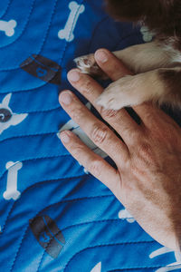 Cropped hand playing with dog