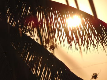 Low angle view of palm tree against bright sun