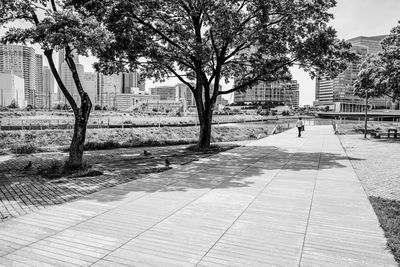 Footpath amidst trees and buildings in city