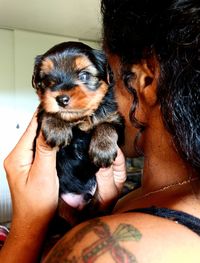 Midsection of woman holding puppy