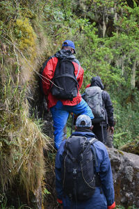 Rear view of people walking in forest at rwenzori mountains 