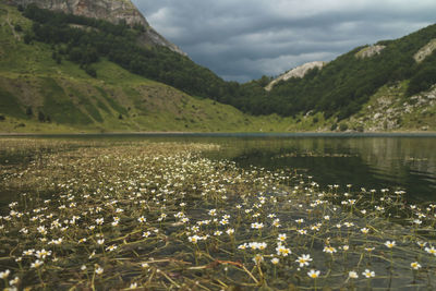 Scenic view of lake and mountains against sky