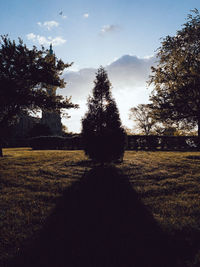 Silhouette trees on field against sky