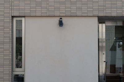 Window on white wall of building