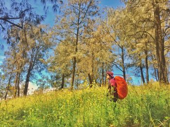 Woman standing by plants against trees during autumn