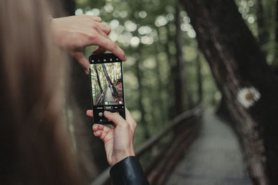 Midsection of person using mobile phone in forest