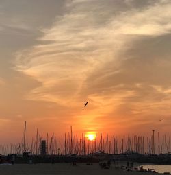 Silhouette birds flying over sea against sky during sunset