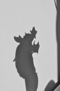 Close-up of silhouette hand on shadow