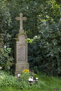 View of cross in cemetery