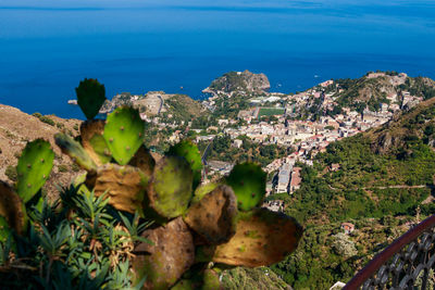 High angle view of plants by sea against blue sky