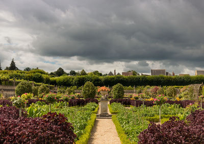 The château de villandry is a renaissance castle mixing architecture and gardens in france