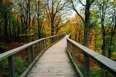 Footbridge amidst trees in forest during autumn