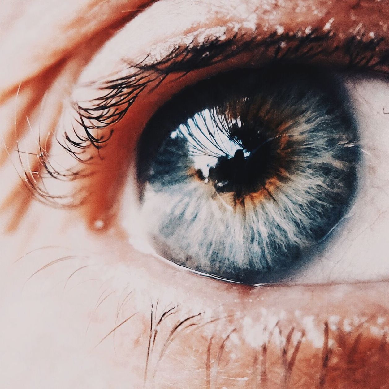 human eye, eyelash, close-up, eyesight, part of, sensory perception, looking at camera, human skin, portrait, extreme close-up, eyeball, human face, iris - eye, extreme close up, eyebrow, vision, lifestyles