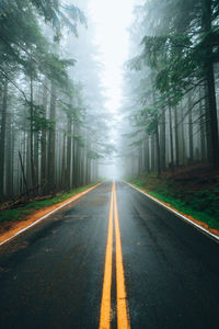 Road amidst trees in forest