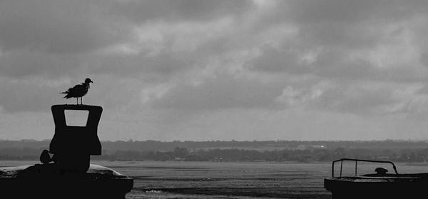 Silhouette bird perching on beach against sky