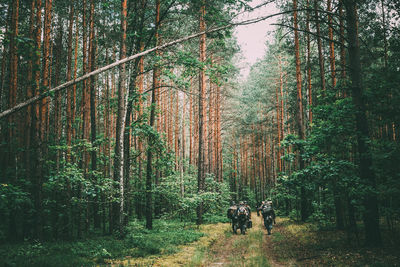 Men in uniforms walking on amidst trees in forest