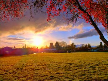 Scenic view of field against sky during sunset