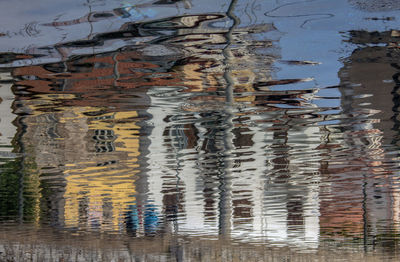 Reflection of trees in lake